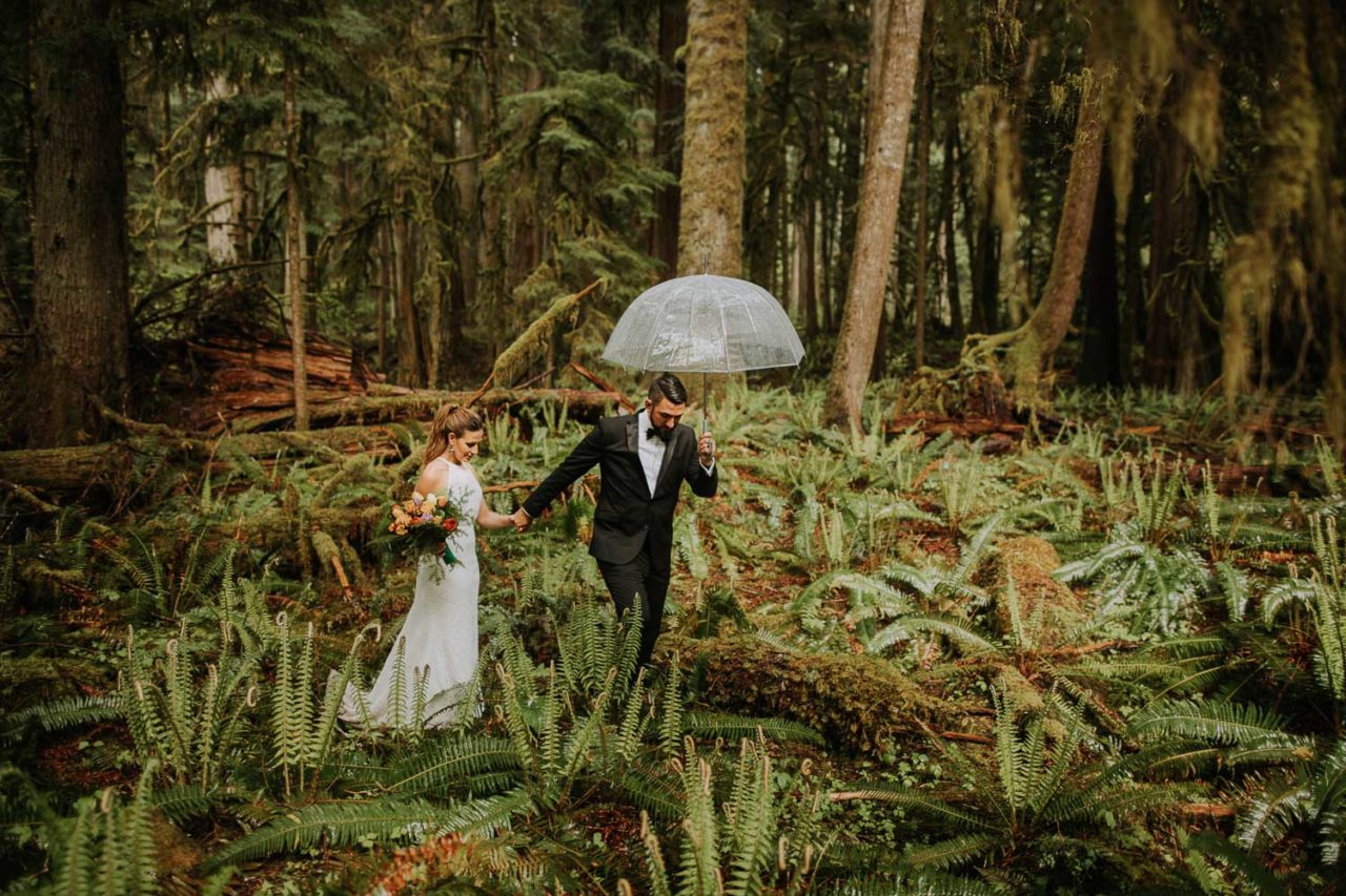 Lake Crescent rainy elopement at Olympic Peninsula. Rain forest intimate ceremony. Hiking to elope at Marymere Falls